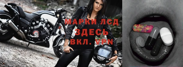 стаф Михайлов